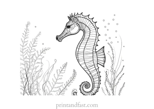 seahorse coloring page with seaweed