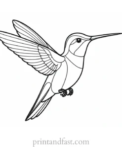 simple Hummingbird Coloring Page