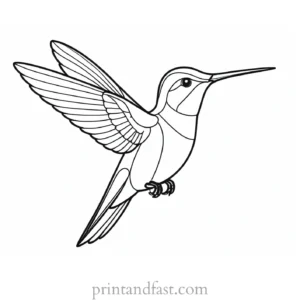 simple Hummingbird Coloring Page