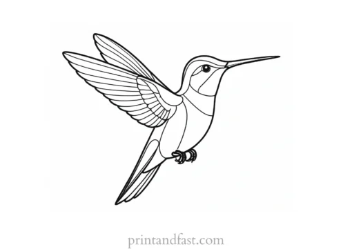 simple Hummingbird Coloring Page