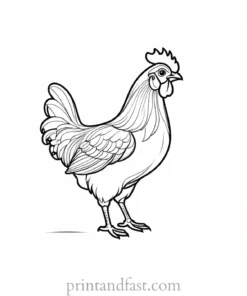 simple chicken coloring page