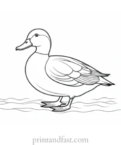 simple duck coloring page