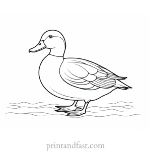 simple duck coloring page