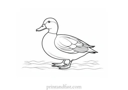 simple duck coloring page