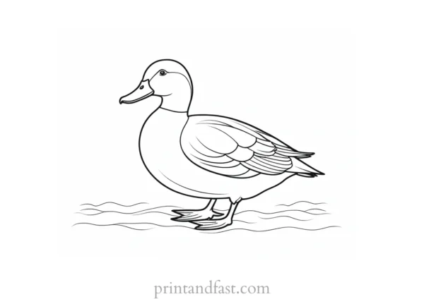 simple duck coloring page