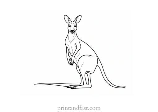 simple kangaroo coloring page