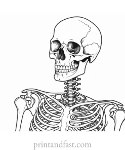 skeleton anatomy coloring page