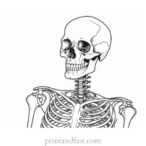 skeleton anatomy coloring page