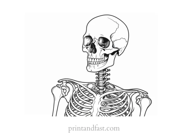 skeleton anatomy coloring page