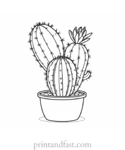 small Cactus Coloring Page