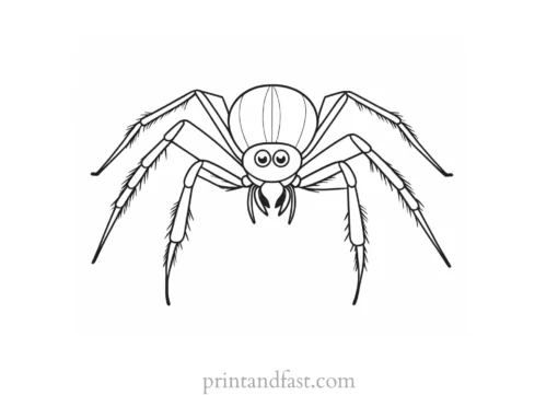 spider coloring page cute