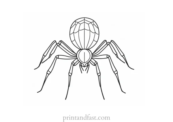 spider coloring page easy