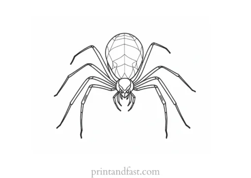 spider coloring page with background