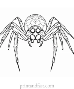 spider coloring page with eyes