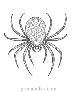 spider coloring page with patterns