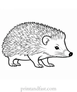 spring hedgehog coloring page