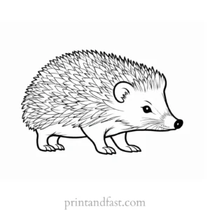 spring hedgehog coloring page