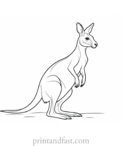 spring kangaroo coloring page