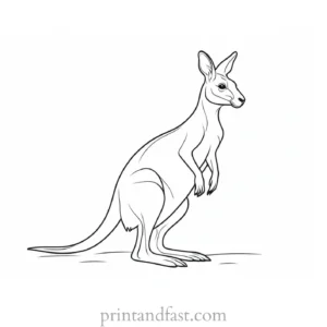 spring kangaroo coloring page