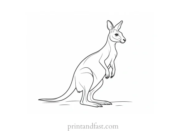 spring kangaroo coloring page