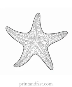 starfish coloring page cartoon