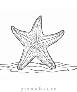 starfish coloring page cute