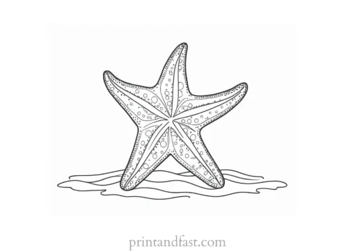 starfish coloring page cute