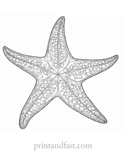 starfish coloring page detailed