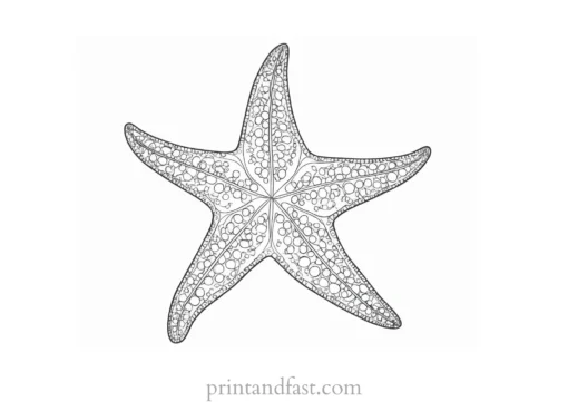 starfish coloring page detailed