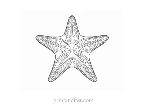 starfish coloring page easy