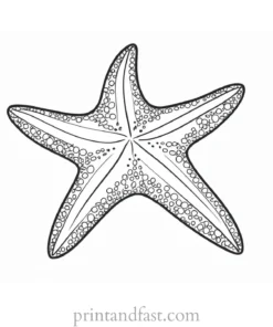 starfish coloring page for toddlers