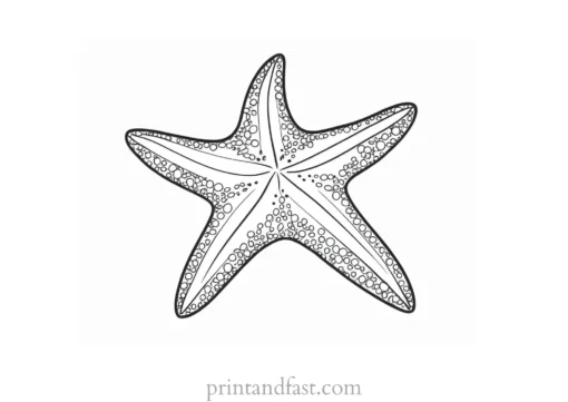 starfish coloring page for toddlers