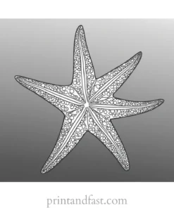 starfish coloring page free