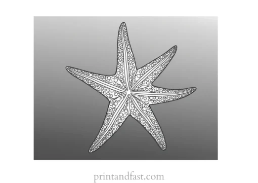 starfish coloring page free