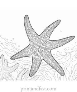 starfish coloring page ocean