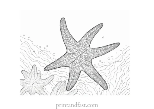 starfish coloring page ocean