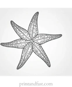 starfish coloring page outline