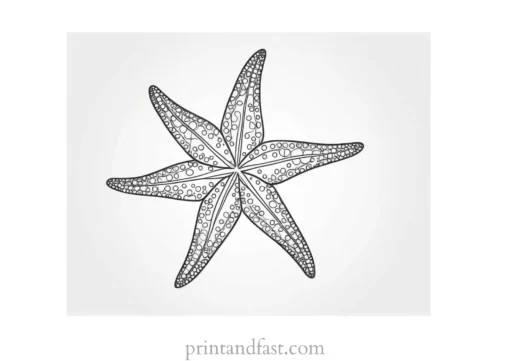 starfish coloring page outline