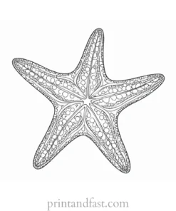 starfish coloring page pattern