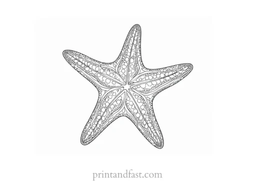 starfish coloring page pattern