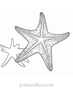 starfish coloring page preschool