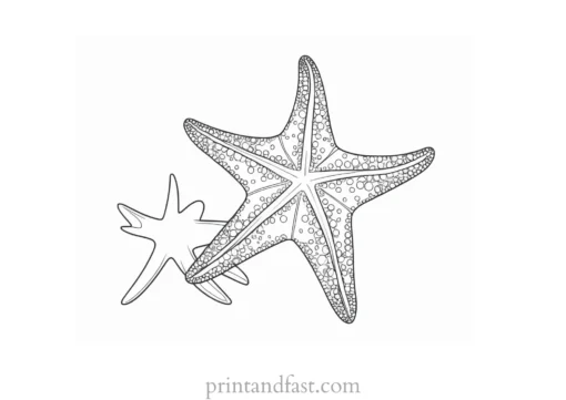 starfish coloring page preschool