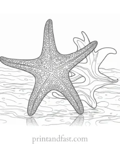 starfish coloring page realistic