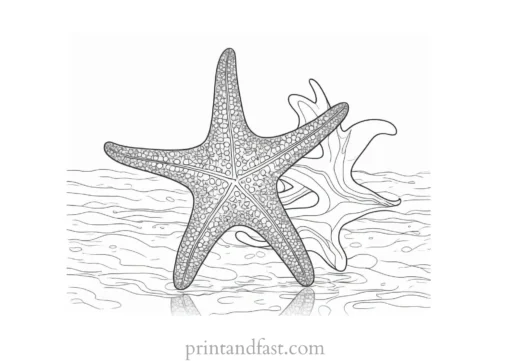 starfish coloring page realistic