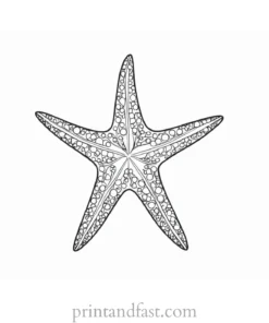 starfish coloring page simple