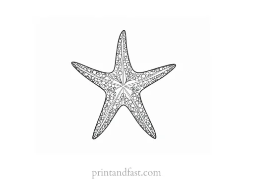 starfish coloring page simple