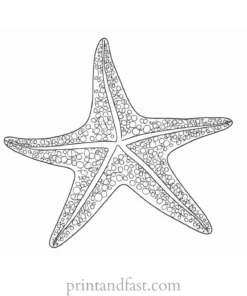 starfish coloring page summer