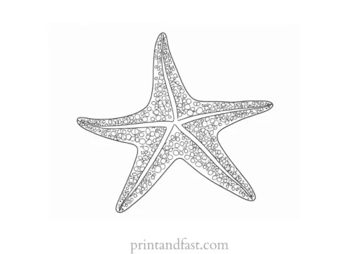 starfish coloring page summer