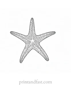 starfish coloring page template