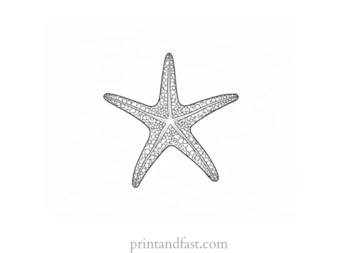 starfish coloring page template